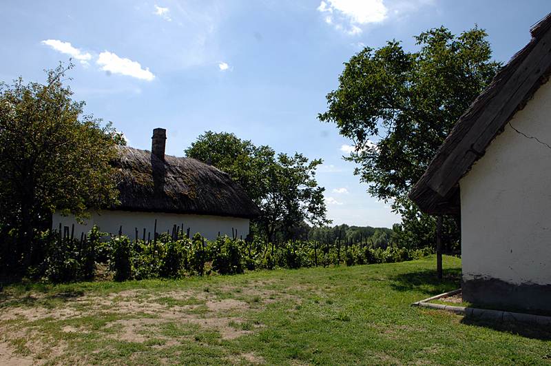 Táska